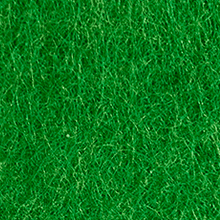 Grass