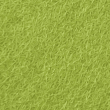 Sprout