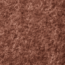 Bark