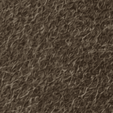 Moor