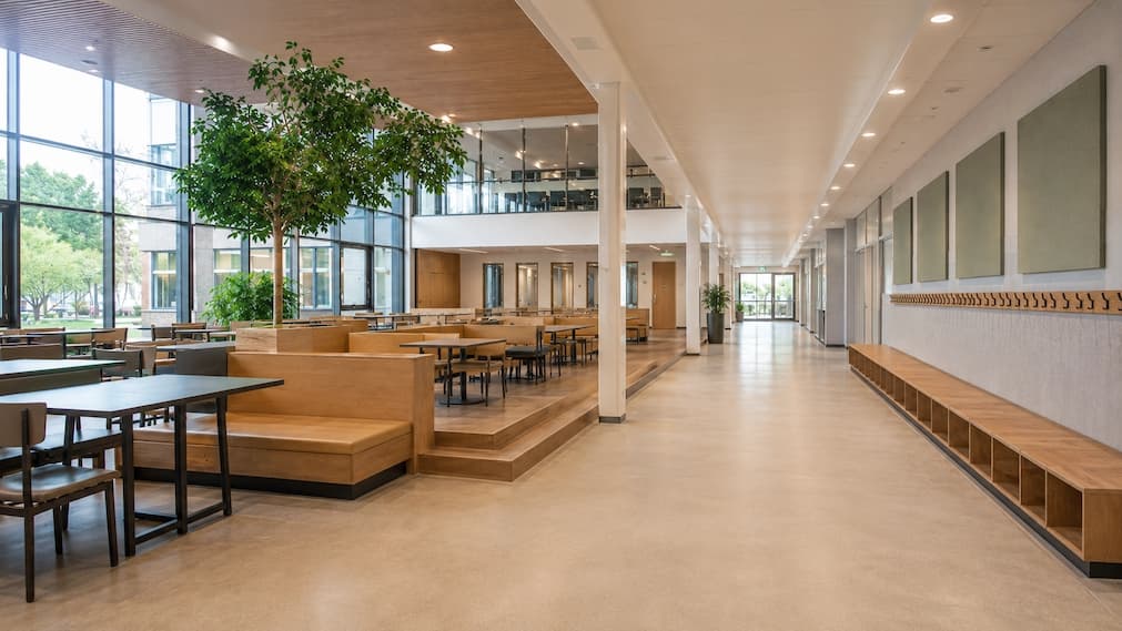 Schoolkantine met PETfelt akoestische wandoplossingen