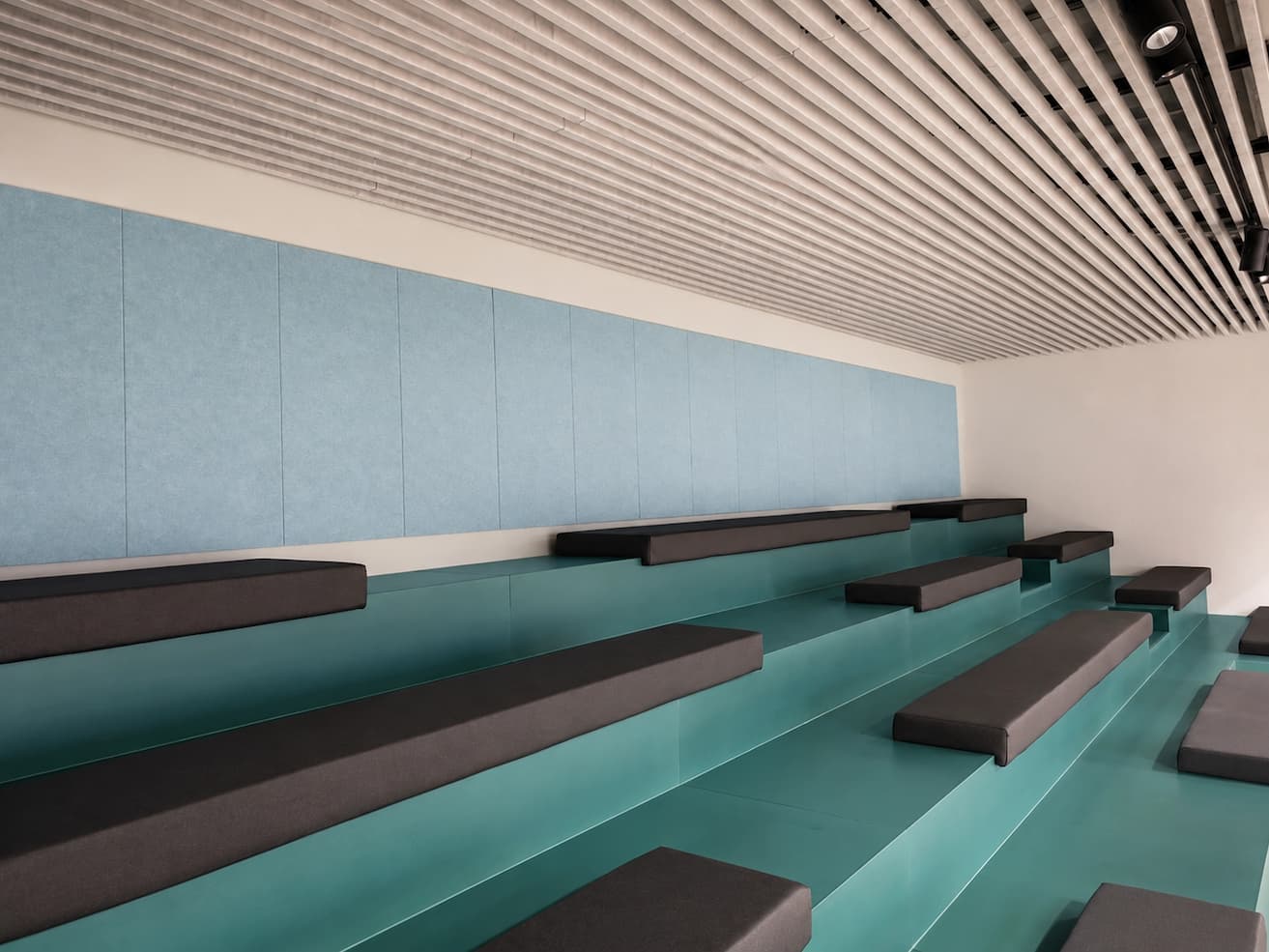 PETfelt wandpanelen in auditorium met groene tribune